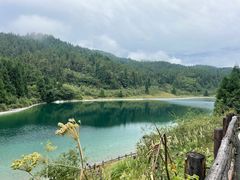 -武陵山森林公园