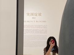 -德基艺术博物馆