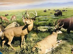 -陕西自然博物馆