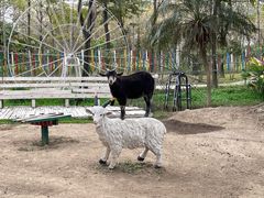 -广东花都香草世界旅游度假区