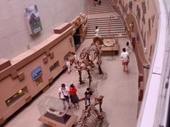 -陕西自然博物馆