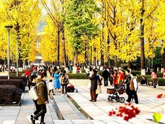 -百林公园-两江幸福广场