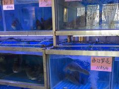 -八仔大富楼·河鲜(西江店)