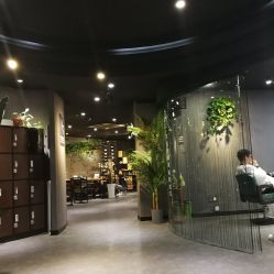 点击看大图 -藤野造型