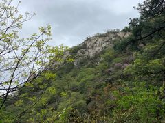 -尧山风景区