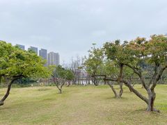 -香山湖公园