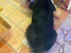 -老宅原住民沙茶面精品小吃(龙头路店)