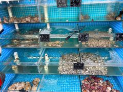 -北戴河庆山饭店·海鲜砂锅粥(北戴河黑石路店)