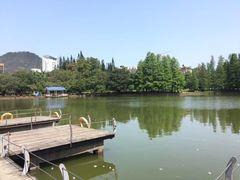 -四海公园(南山区)