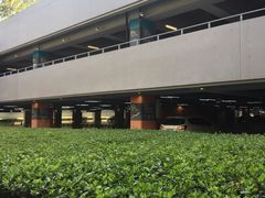 -上海虹桥国际机场1号航站楼-P2停车场