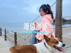 -汕尾风车岛