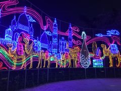 -欢乐海岸椰林沙滩-2025湾区超级灯会