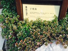 -天目湖涵田半山温泉