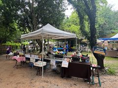 -Bamboo Saturday Market(Nana Jungle)