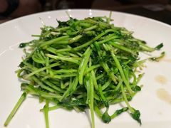 -潮界(LU·ONE凯德晶萃广场店)