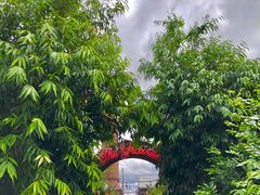-The Grounds of Alexandria