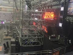 -南京奥林匹克体育中心-体育馆