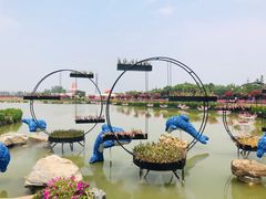 -荷兰花海