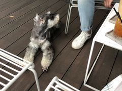 -UNI UNI(环亚凯瑟琳店)