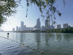 -天鹅湖体育公园