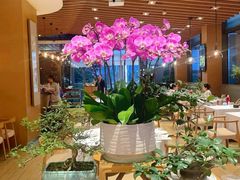-若蘭慈·无国界素食料理(欢乐海岸店)