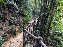 -滴水岩森林公园