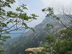 -鲁山国家森林公园