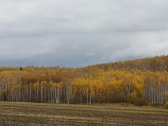 -莫尔道嘎国家森林公园