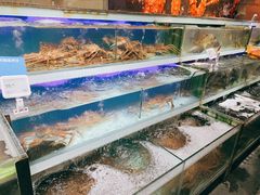 水产区-盒马鲜生(红莲店)