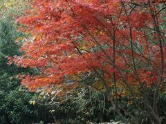 -天目湖涵田半山温泉