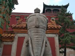 -乾隆饺子馆(中兴广场店)