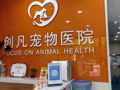 -创凡宠物医院·骨专科  猫科中心(西乡分院)