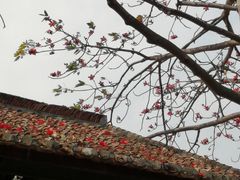 -喜洲吧·江畔老船厂·庭院餐厅(喜临院店)