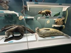 -国家自然博物馆