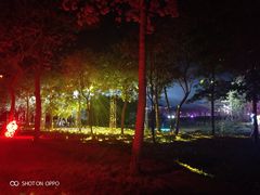 -天适樱花悠乐园