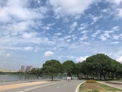 -暨阳湖生态园