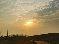 -春花秋色城市公园