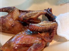 -鸽子侯·家宴·平价海鲜(市图书馆店)