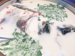 -上名堂·鱼头好吃(体育场路店)