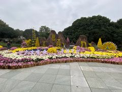 -南山植物园