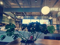 -Wagas沃歌斯(汇智店)