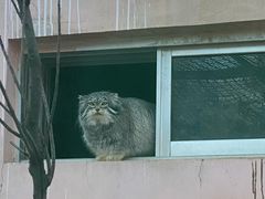 -青藏高原野生动物园