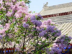 -西安市广仁寺