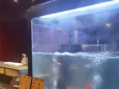 -九洲喜来登酒店湖月日餐厅