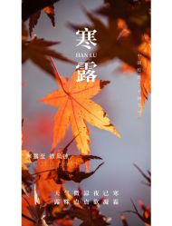 -Fundi张玉珊修身堂·indiba·BTL科技瘦身