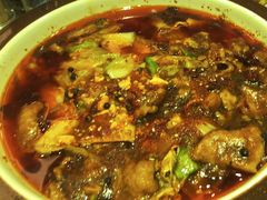 -紫光园(顺义店)