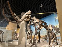 -国家自然博物馆