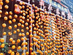 -凤凰山斑鱼馆(恭城店)