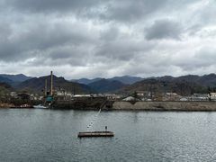-河口景区