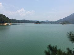 -广州市流溪河国家森林公园